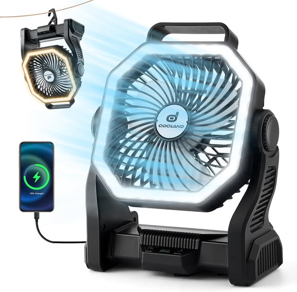 Best deals for everyday items at special prices daily